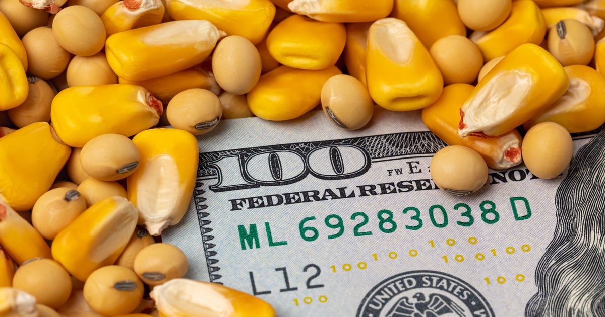 Is U.S. corn export boom ending? USDA data signals shift ahead