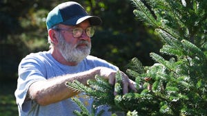 Dan Hoppe of Bloomfield, Neb., looking at a christmas tree on his farm