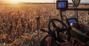 View from inside of combine harvesting machine, person driving combine and harvesting corn at sunset