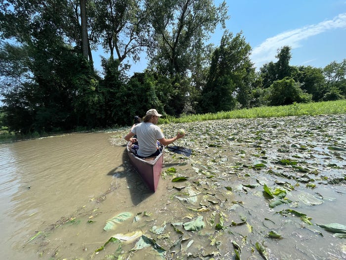A farmer on a canoe gathering vegetables inundated in flood water