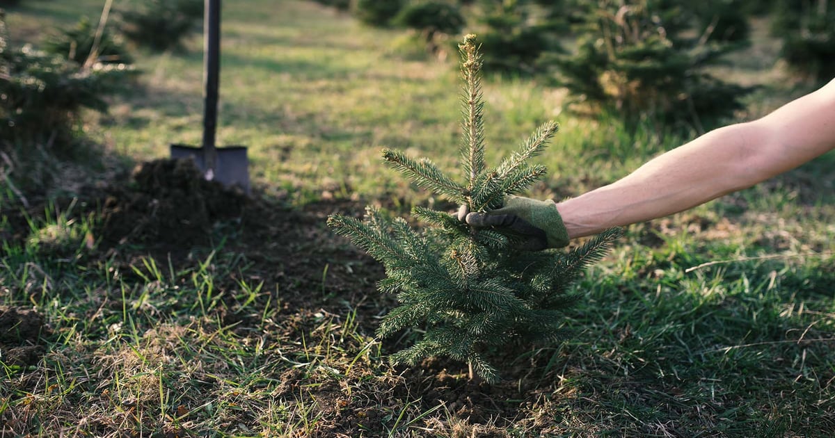Farmers prep for spring: Planting and farm upgrades
