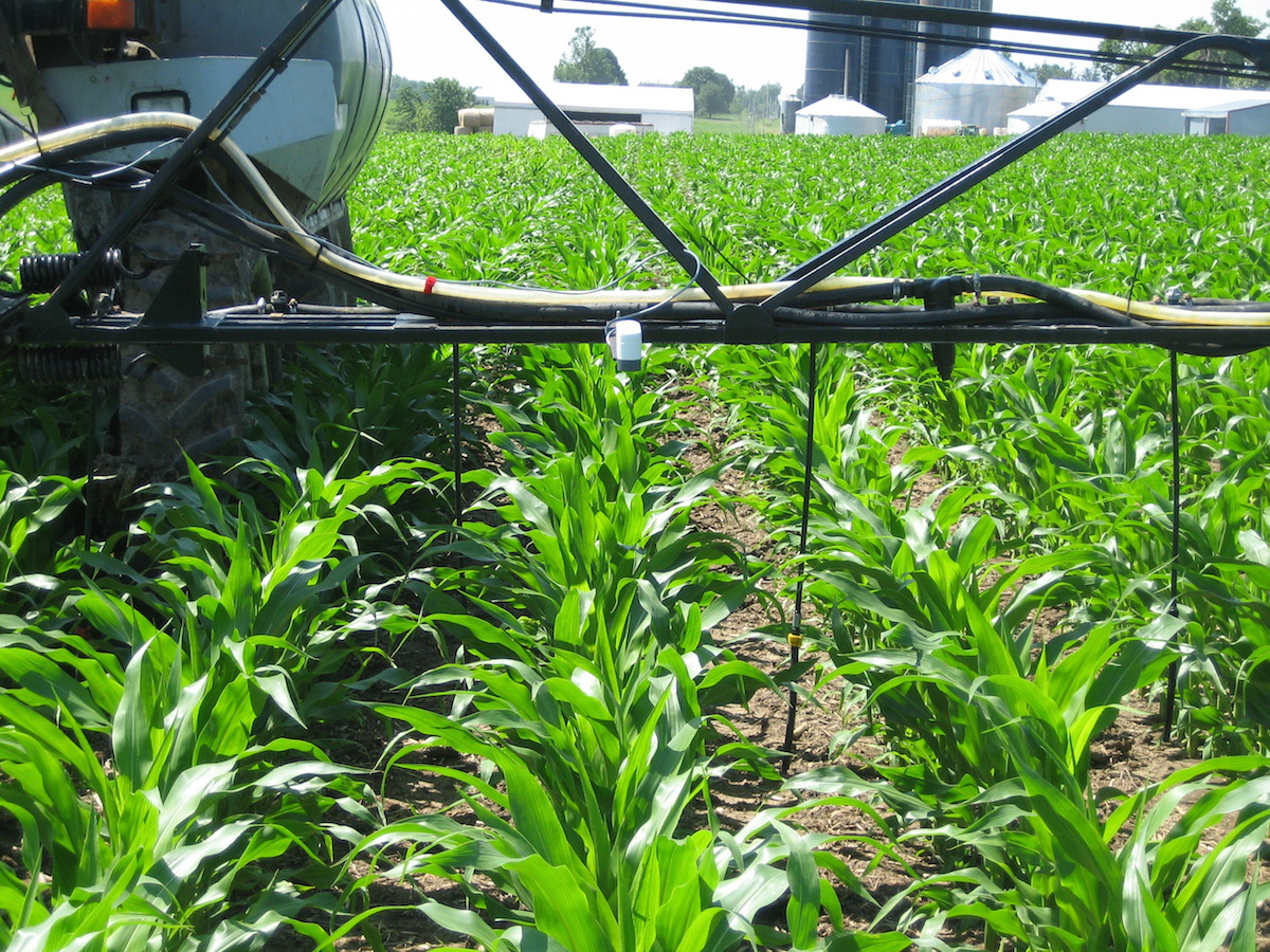 Top 5 Ag News: Timing Fall Nitrogen Application; Corn Stalk Rot And ...