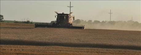 wheat_harvest_limps_forward_yields_better_expected_1_635711240953695235.jpg