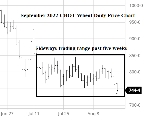 Aug 18 wheat daily price chart.png