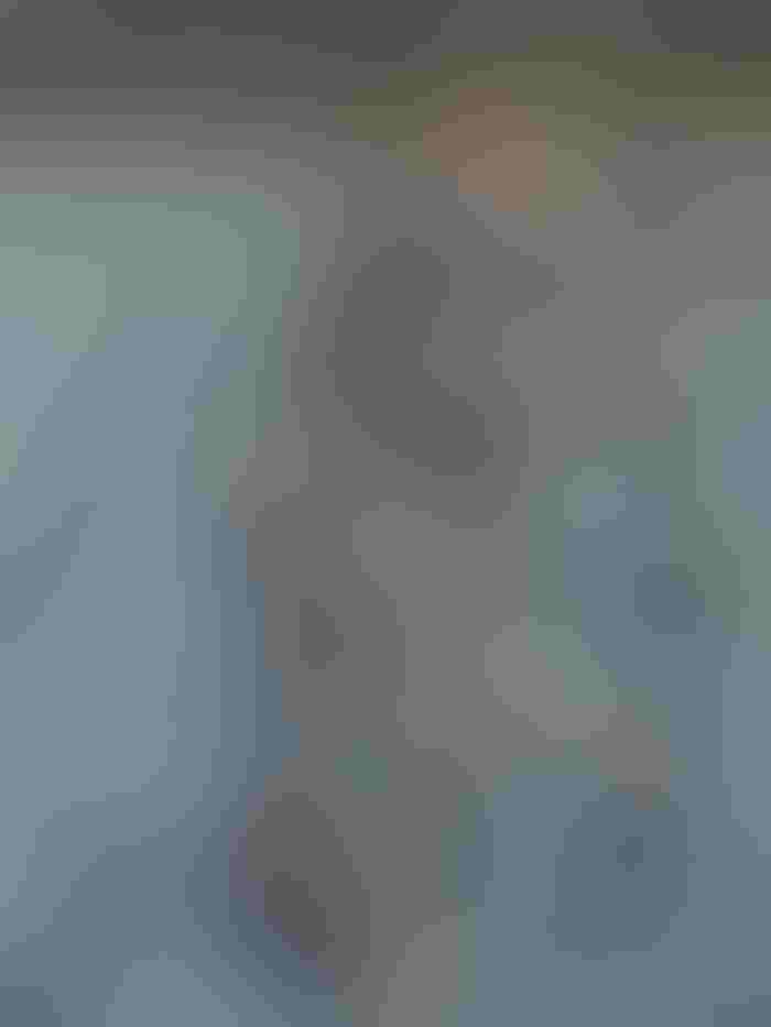 1216T1-1940B-1540x2053.jpg 1216T1-1940B-1540x2053.jpg