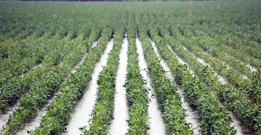 UArk-KRodtnick-Flooded-Soy-Field.jpg UArk-KRodtnick-Flooded-Soy-Field.jpg