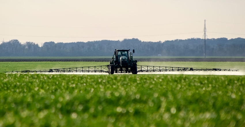 Spring nitrogen application in corn field