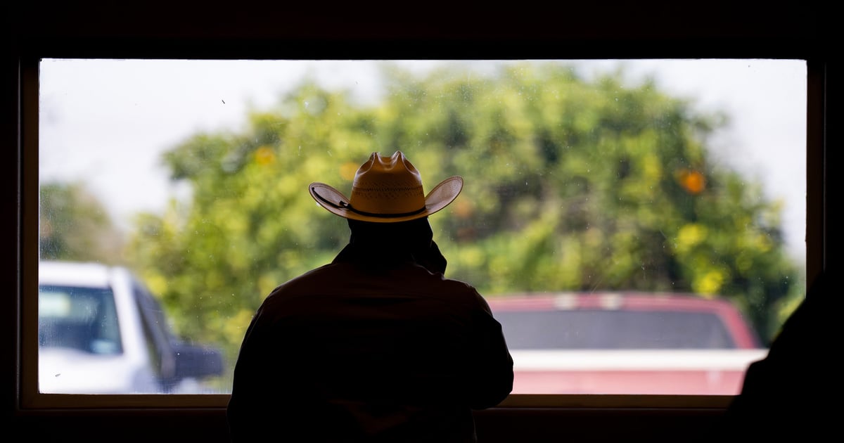 FarmHope workshop helps farmers plan for future