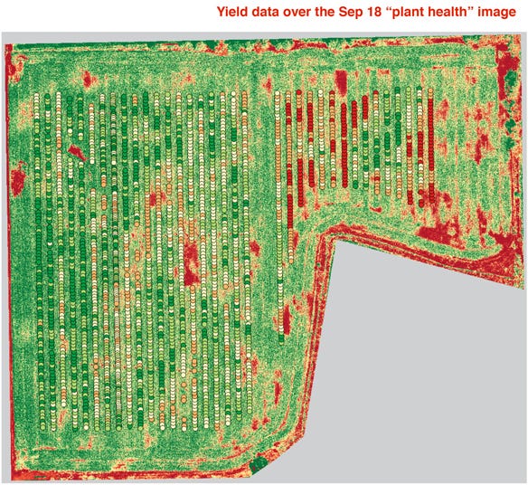 yield map laid over a plant health map from a late-season drone flight in Shelby County