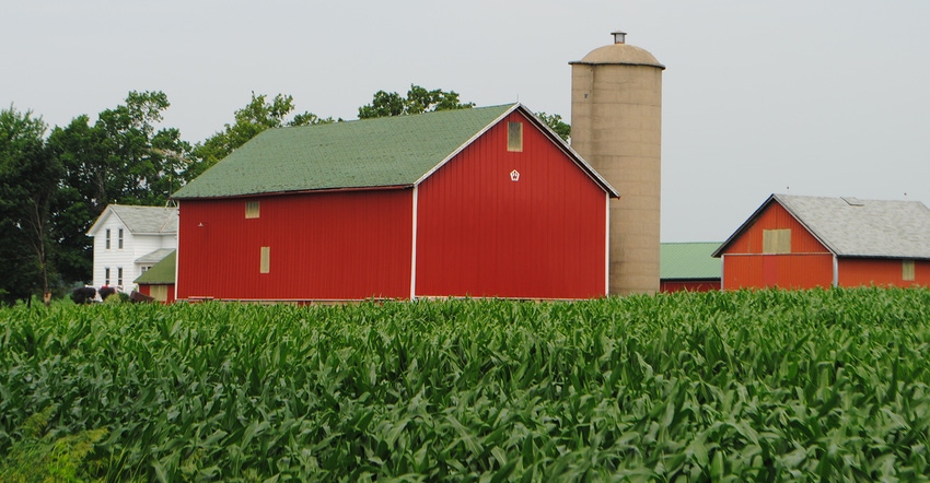 red barn behind green cornfield