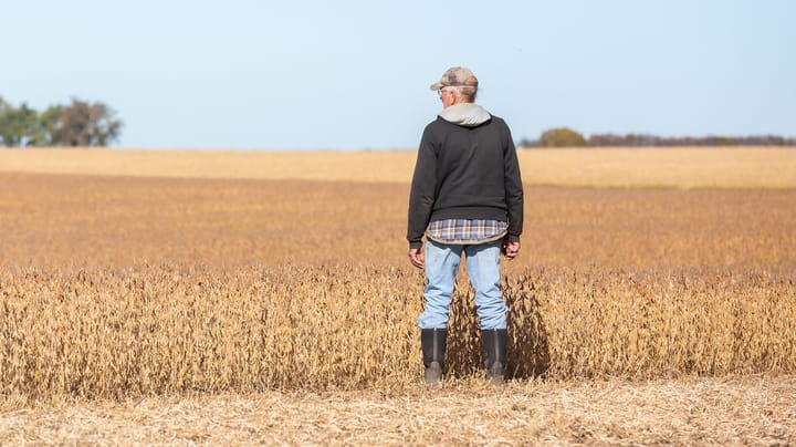 Minnesota farm advocates are here to help