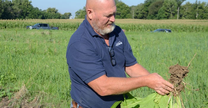 Roger Wenning admires the roots on a cover crop 
