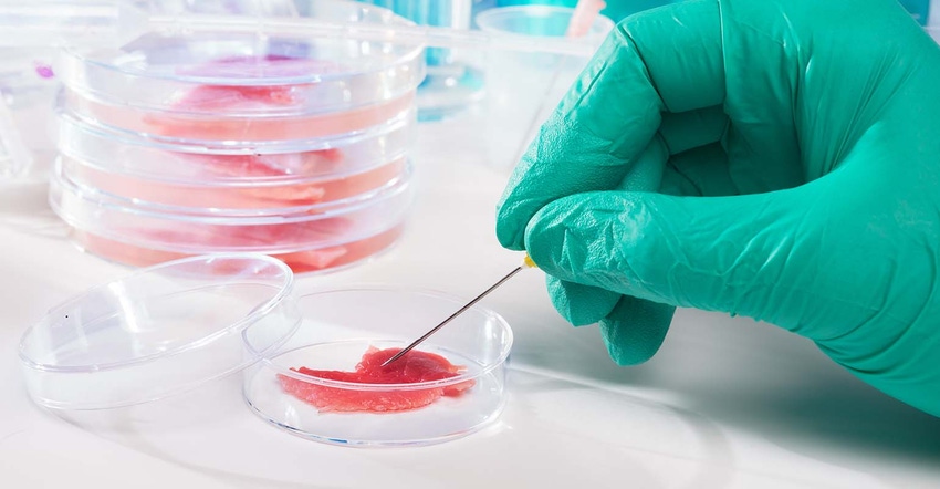 Meat cultured in laboratory conditions
