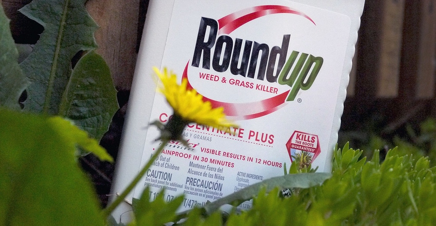 Jug of Roundup weed killer. Photo illustration of jug sitting in grass, behind dandelion by decking.