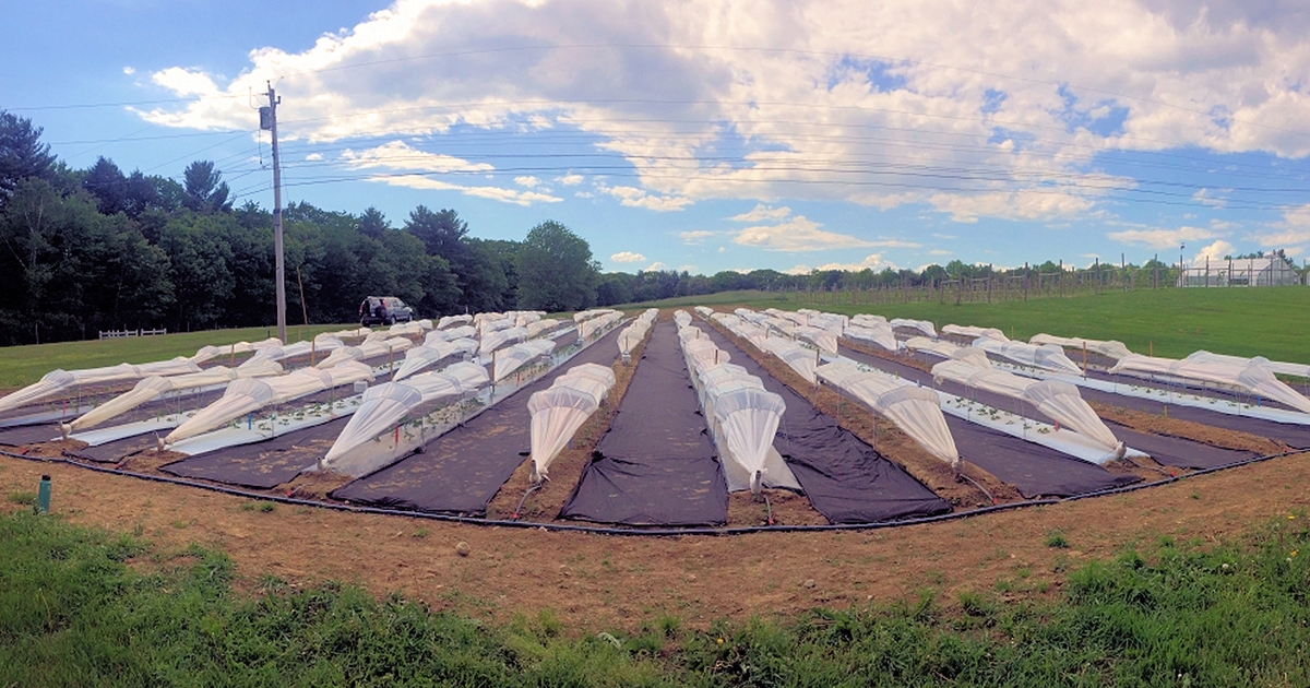 9 reasons to visit New Hampshire Farm and Forest Expo