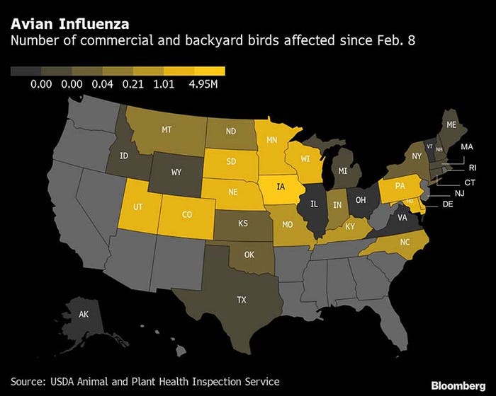 Avian influenza cases by state map