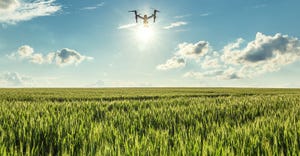 drone flying over green wheat field
