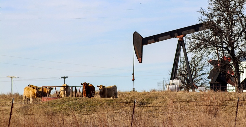 cattle-pump-jack-GettyImages-940231572.jpg cattle-pump-jack-GettyImages-940231572.jpg