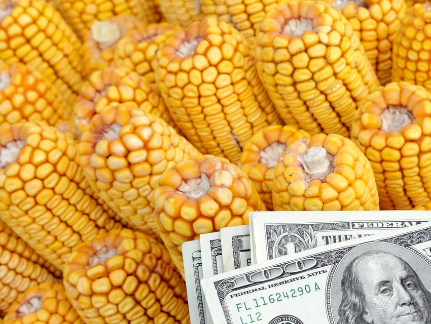 Ears of dent corn with pile of U.S. paper bills