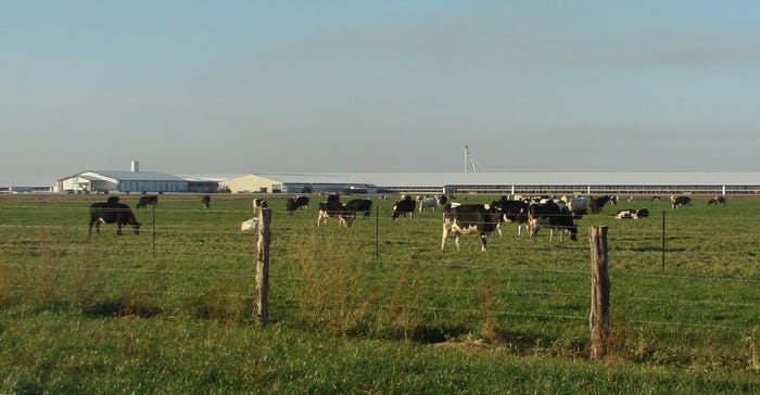 Natural Prairie Dairy in Newton County, Ind. Natural Prairie Dairy in Newton County, Ind.