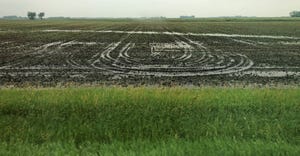 flooded, wet crop field