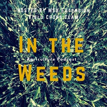 IN THE WEEDS podcast