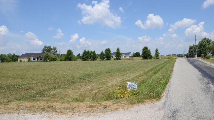 An empty field near a rural road 