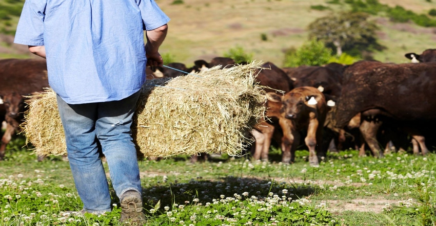 7-15-22 beef and hay GettyImages-154423225_1.jpg 7-15-22 beef and hay GettyImages-154423225_1.jpg