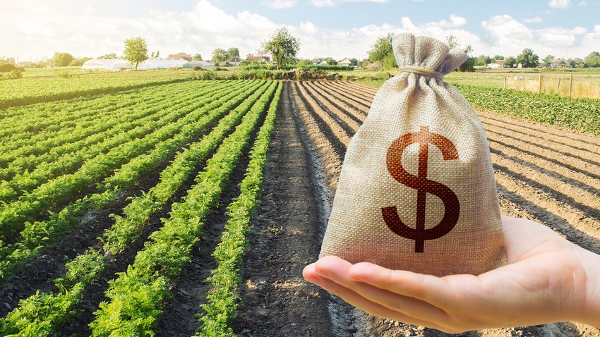 Bag with money symbol with farm field in background