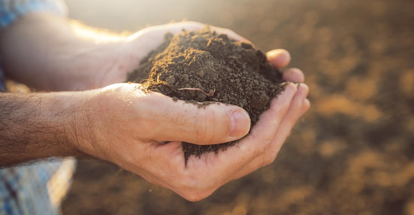 Close up of a farmer holding soil in both hands