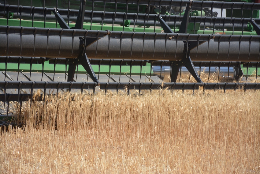 SWFP-WHEAT.jpg SWFP-WHEAT.jpg