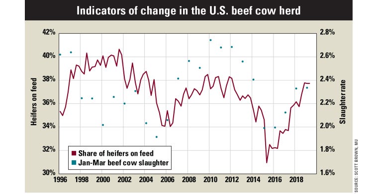 Beef Outlook chart