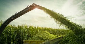 Field image of corn silage being chopped