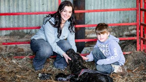 A young woman and boy tend to a newborn calf