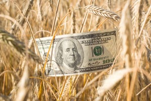 wheat-money-GettyImages-1268317920.jpg