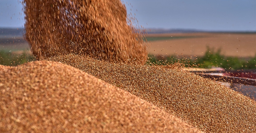 combine harvester pouring sorghum into truck 