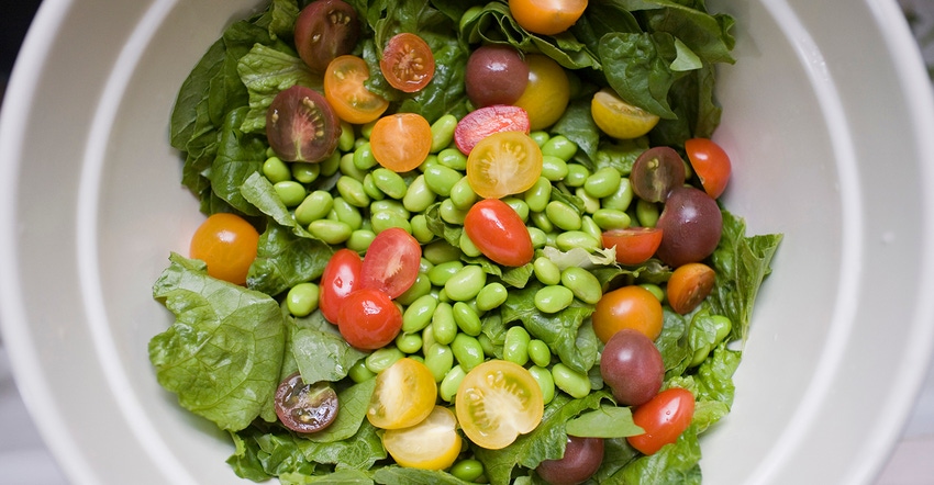 Bowl of lettuce, tomatoes, edamame Bowl of lettuce, tomatoes, edamame