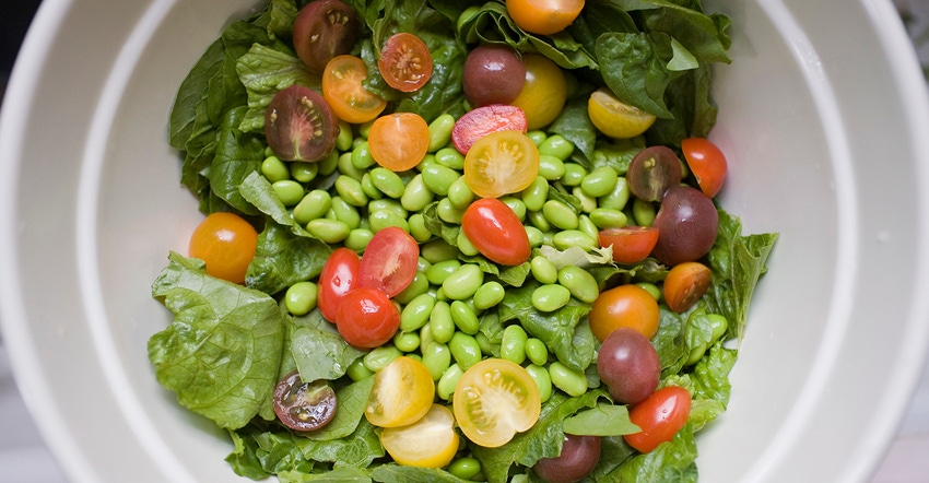 Bowl of lettuce, tomatoes, edamame