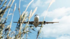 A commercial airplane flying low with plants in the foreground