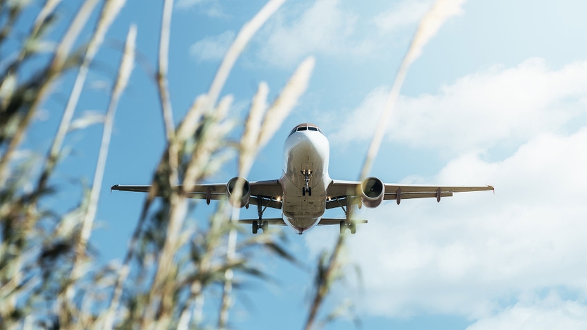 A commercial airplane flying low with plants in the foreground