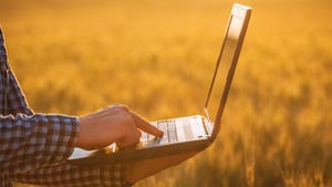 close-up of man using a laptop in a field