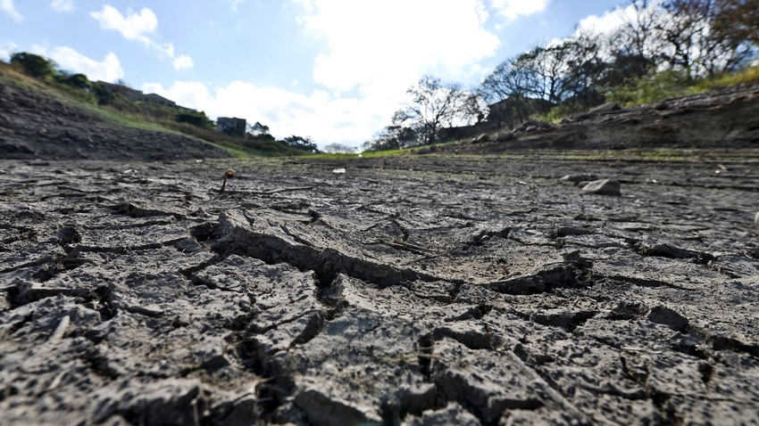 Drought-cracked soil 