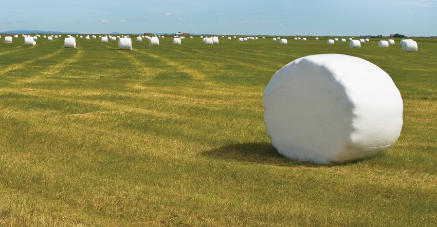 Individual baleage in the hay meadow