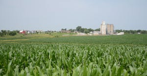 Nebraska farm and corn field.
