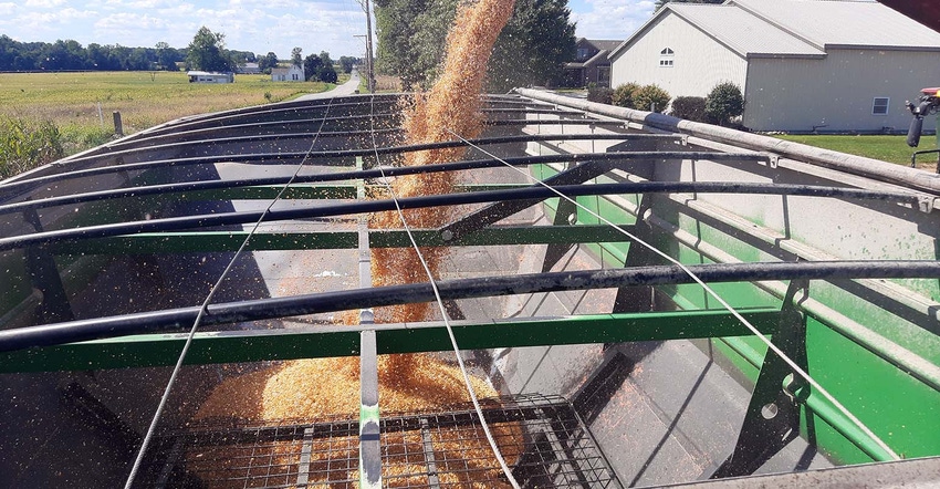 Corn dumping from combine auger into grain cart.