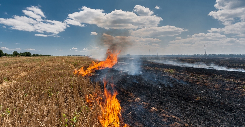 field fire field fire