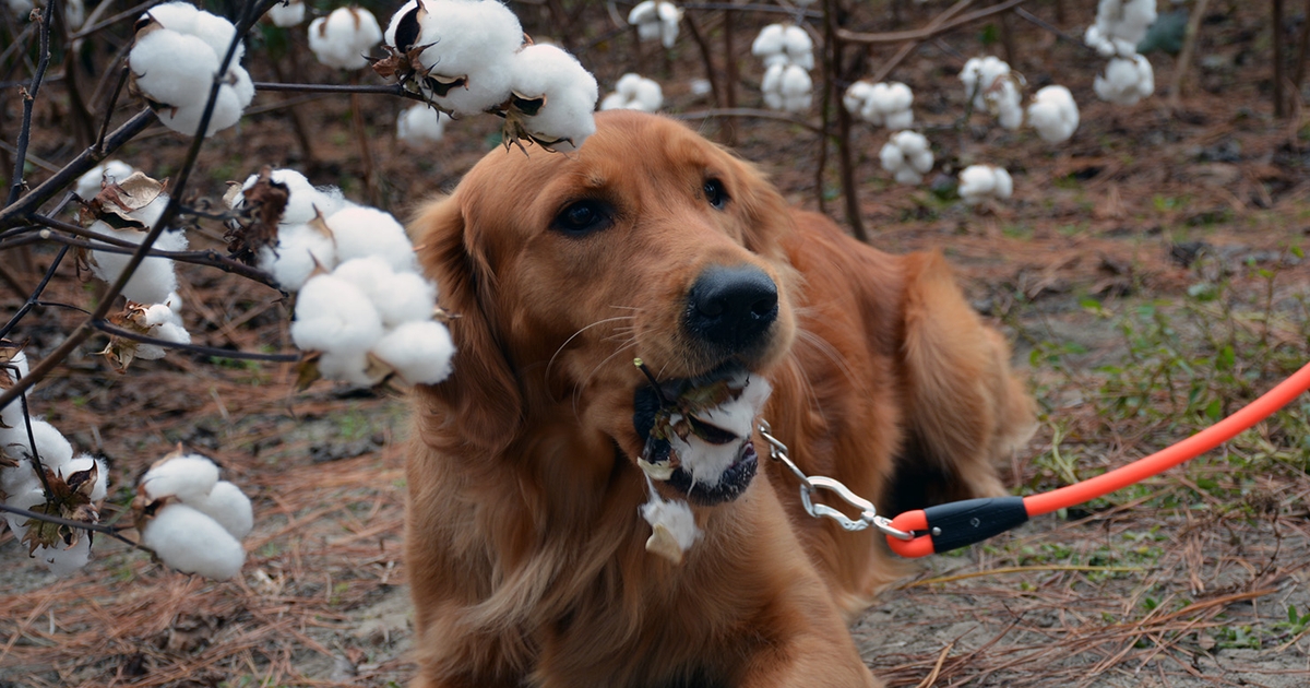 It’s the best part