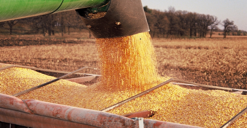 A grain cart auger fills a truck with corn