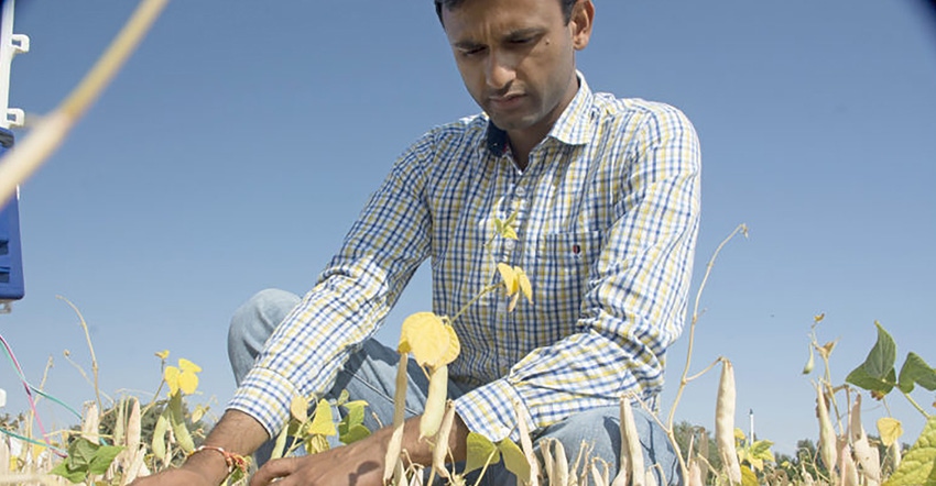 Vivek Sharma examines a soil moisture sensor