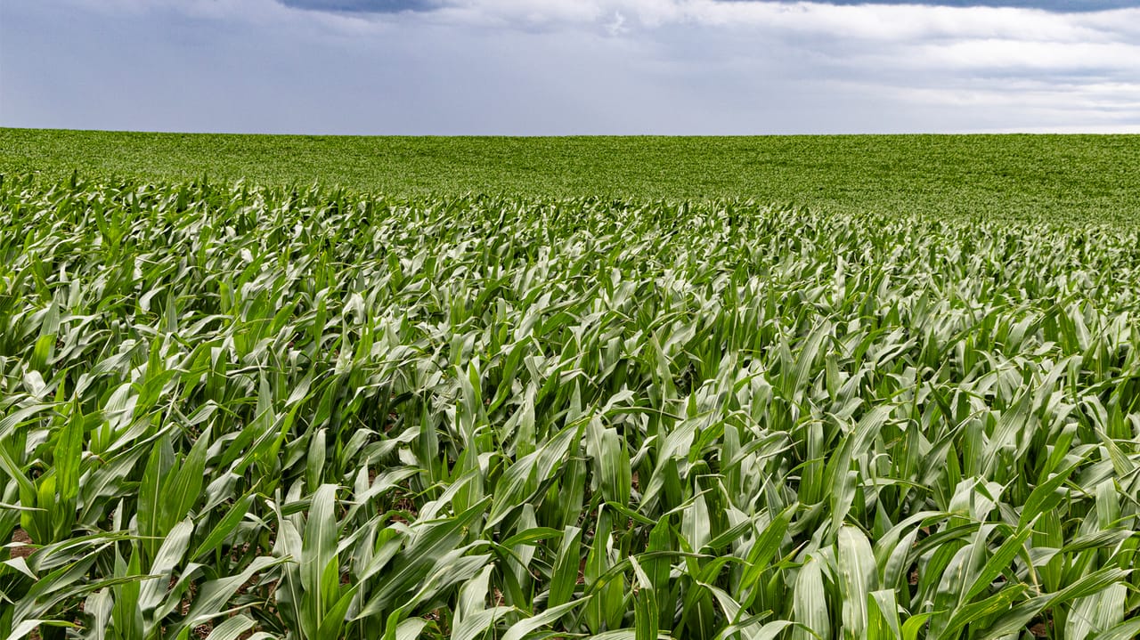 Land rental rates up again